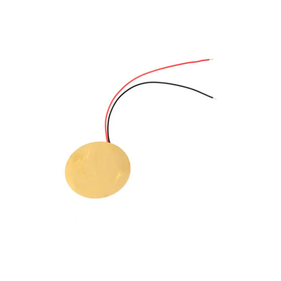 Transdutor Disco de Piezo 20mm com Fios Soldados - 03-170