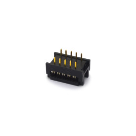 Conector Dip Plug Flat Cable 304-10GK Passo de 2.54mm - 10 Vias