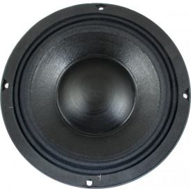 Falante Jensen BS8N/250A 8oHM 8 Polegadas -  ZJ04810