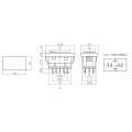 Interruptor Automotivo com Led sem Trava (Liga)/Desliga/(Liga) Momentâneo 20A/12V - ASW-21D