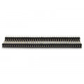 Barra de Pinos Dupla 2x40 Macho - BMEC040-2E