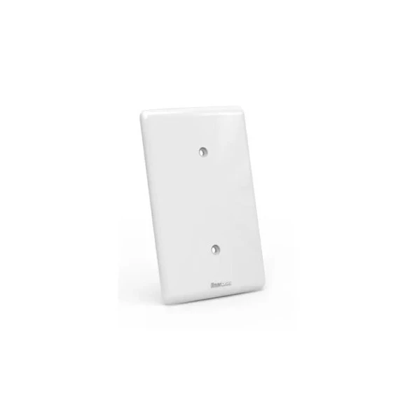 Placa sem Furo 2x4 Branco - 111-E1 - Enerbras