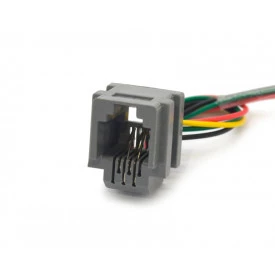 Conector Jack RJ11 Com Fio de 5cm 623K 04 Vias