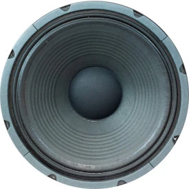 Falante Jensen C12/100 Raptor 16 Ohms 100W 12 Polegadas - ZJ06343
