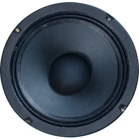 Falante Jensen C6V 4 Ohms 20W 6 Polegadas - ZJ03051