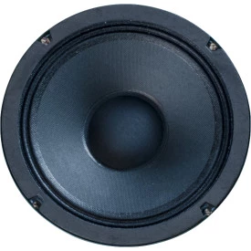 Falante Jensen P6V 8 Ohms 20W 6 Polegadas  - ZJ03040