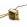 Transformador de Tensão 127/220V para 4,5V+4,5V 200mA