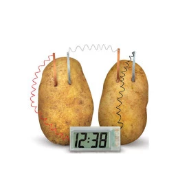 Kit Educacional Relógio de Batata - No. 239 - Fácil de Montar - WRT003645