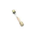Fusível de Vidro Alta Tensão com Mola Para Microondas 6x40mm 5kv - 1A