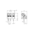 Conector Verde Multipolar AK300 Passo de 5,00mm - 2 a 3 Vias - Phoenix Mecano