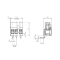 Conector Verde Multipolar AK700 Horizontal Passo de 5.00mm - 2 e 3 Vias - Phoenix Mecano