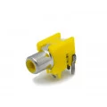 Jack RCA para PCI - JL15014 - Jiali