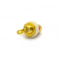 Jack RCA Chassis Dourado (Vermelho) - JL17074GR - Jiali