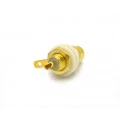 Jack RCA Chassis Dourado (Branco) - JL17074GW - Jiali