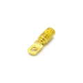 Terminal Olhal Dourado - JL49042 - Jiali