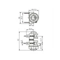 Jack J10 Mono com 4 Terminais com Furo PCI - LS-2038