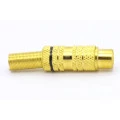 Plug Fêmea Rca JL17019GB (Preto) Dourado - JIALI