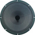 Falante Jensen P10R 8 Ohms 25W 10 Polegadas - ZJ05051