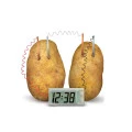 Kit Educacional Relógio de Batata - No. 239 - Fácil de Montar - WRT003645