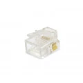 Plug Modular Cristal RJ12 6P6C YH010